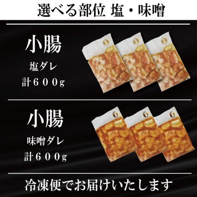 ホルモン 小腸 阿波牛 塩ダレ 200g×3パック 計600g