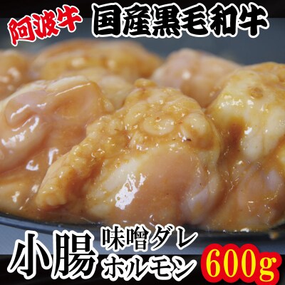 ホルモン 小腸 阿波牛 味噌ダレ 200g×3パック 計600g