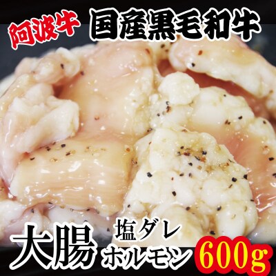 ホルモン 大腸 阿波牛 塩ダレ 200g×3パック 計600g