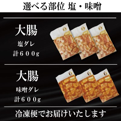 ホルモン 大腸 阿波牛 塩ダレ 200g×3パック 計600g