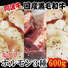 ホルモン 3種セット 小腸 大腸 ハツ 阿波牛 塩ダレ 200g×3パック 計600g