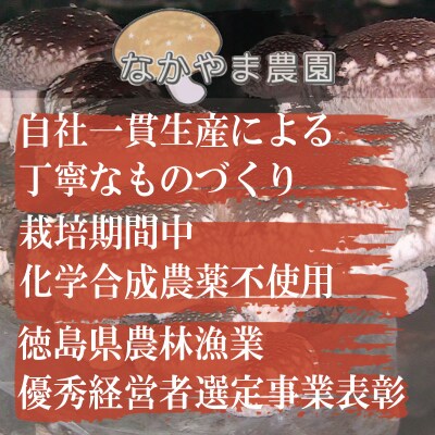 乾燥しいたけ スライス 500g 徳島県産
