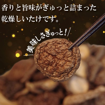 乾燥しいたけ 小サイズ 500g 徳島県産