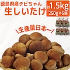 生しいたけ 小サイズ 1.5kg 250g×6袋