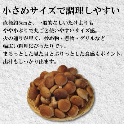 生しいたけ 小サイズ 1.5kg 250g×6袋