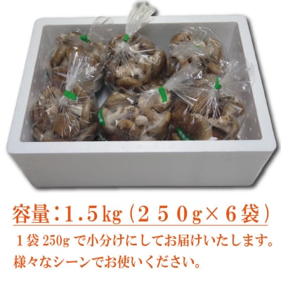 生しいたけ 小サイズ 1.5kg 250g×6袋