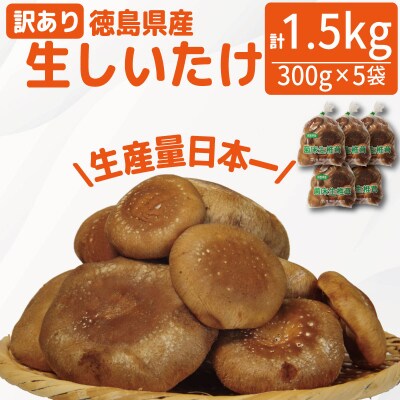 訳あり 生しいたけ 1.5kg 300g×5袋 徳島県産