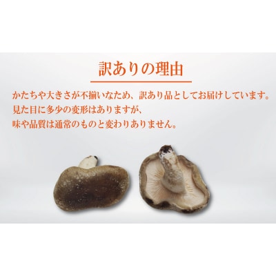 訳あり 生しいたけ 1.5kg 300g×5袋 徳島県産