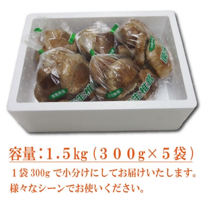 訳あり 生しいたけ 1.5kg 300g×5袋 徳島県産