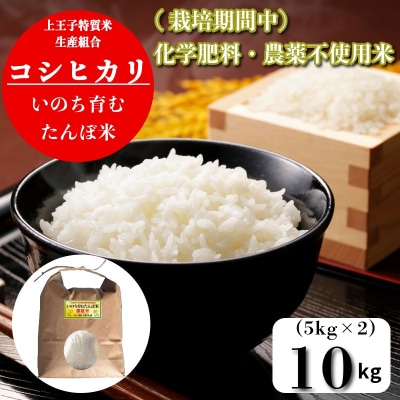 【令和7年産】コシヒカリ 米 10kg 天皇献上米 栽培期間中化学肥料・農薬不使用米