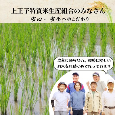 【令和7年産】コシヒカリ 米 10kg 天皇献上米 栽培期間中化学肥料・農薬不使用米