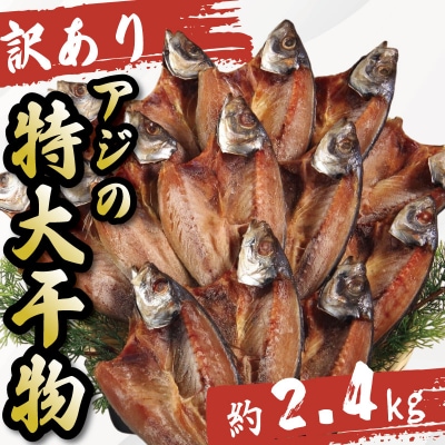 訳あり 特大 アジ 干物 約2.4kg 計14枚