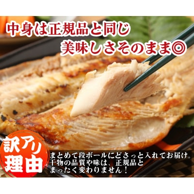 訳あり 特大 アジ 干物 約2.4kg 計14枚