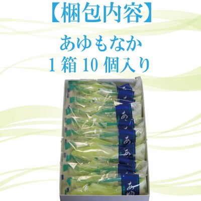もなか 10個 あゆもなか すだち モナカ 最中 すだちあん すだち餡 和菓子 銘菓 お菓子 ギフト