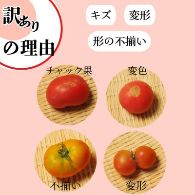 【2027年先行受付】 訳あり 珊瑚樹トマト約1.5kg 2027年4月発送 甘い トマト フルーツ