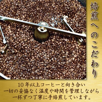 季節のコーヒー 豆 500g コーヒー豆 珈琲 コーヒー COFFEE 自家焙煎 焙煎