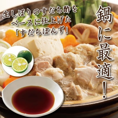すだちポン酢 2本 ポン酢 柑橘 すだち ぽんず 調味料 国産