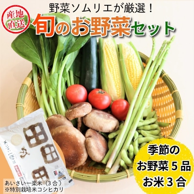 エシカル野菜5種とお米のセット 野菜 米 新鮮 採れたて 産地直送