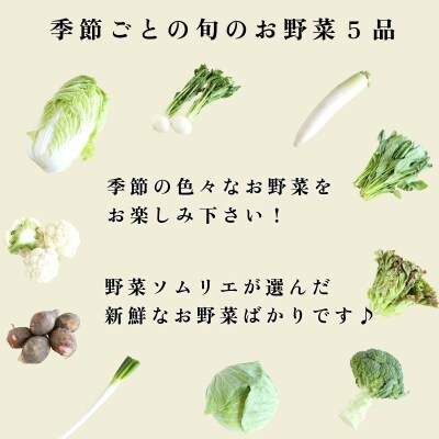 エシカル野菜5種とお米のセット 野菜 米 新鮮 採れたて 産地直送