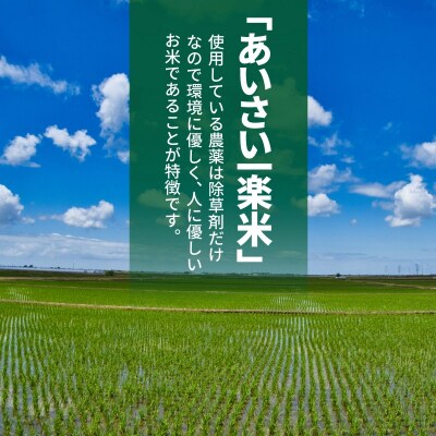 エシカル野菜5種とお米のセット 野菜 米 新鮮 採れたて 産地直送
