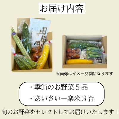 エシカル野菜5種とお米のセット 野菜 米 新鮮 採れたて 産地直送