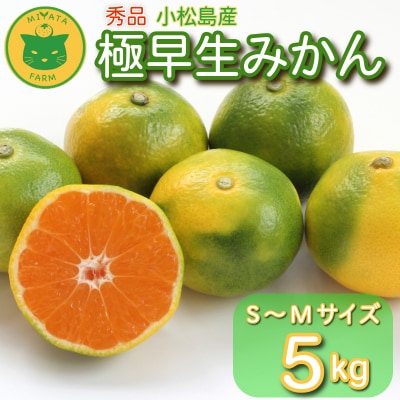 【2025年9月20日以降発送】 みかん 秀品 極早生みかん 5kg 蜜柑 ミカン 柑橘 旬 