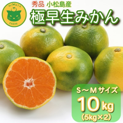 【2026年10月発送】 みかん 秀品 極早生みかん 10kg 蜜柑 ミカン 柑橘 旬 フルーツ 