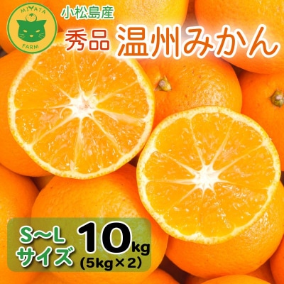 【2025年11月順次発送】 みかん 秀品 温州みかん10kg  早生みかん ミカン 蜜柑 甘い