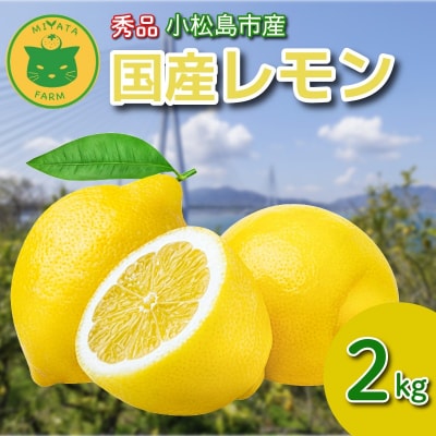 レモン 2kg 秀品 2025年10月順次発送 国産 レモン れもん ワックス不使用 防腐剤不使用