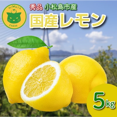 レモン 5kg 秀品 2025年10月順次発送 国産 レモン れもん ワックス不使用 防腐剤不使用