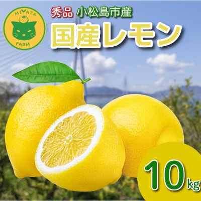 レモン 10kg 秀品 2025年10月順次発送 国産 レモン れもん ワックス不使用 防腐剤使用