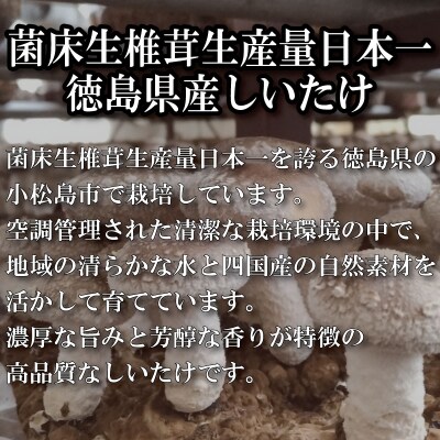 訳あり 干ししいたけ スライス 500g 徳島県産 乾燥しいたけ 