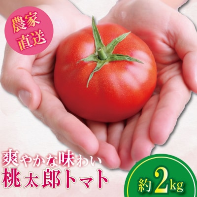 【2026年4月発送】 トマト 2kg 桃太郎 先行予約  甘い 野菜 やさい 国産 産地直送