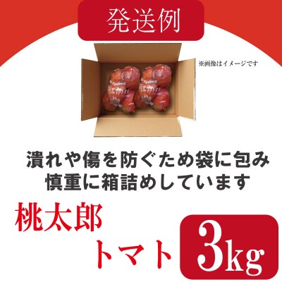 【2026年2月発送】 トマト 3kg 桃太郎 先行予約  甘い 野菜 やさい 国産 産地直送