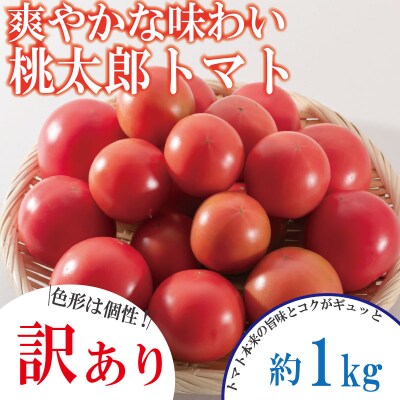 【2027年3月発送】【訳あり】 トマト 1kg 桃太郎 先行予約