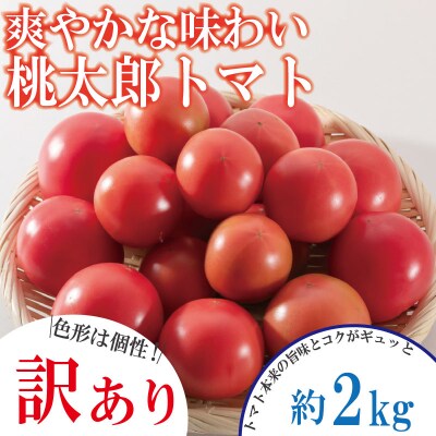【2027年1月発送】【訳あり】 トマト 2kg 桃太郎 先行予約