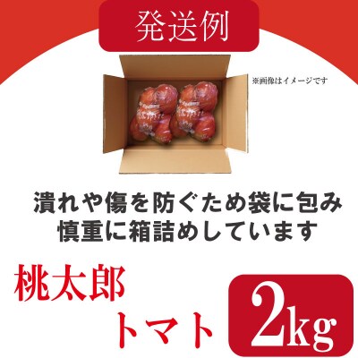 【2026年4月発送】【訳あり】 トマト 2kg 桃太郎 先行予約  