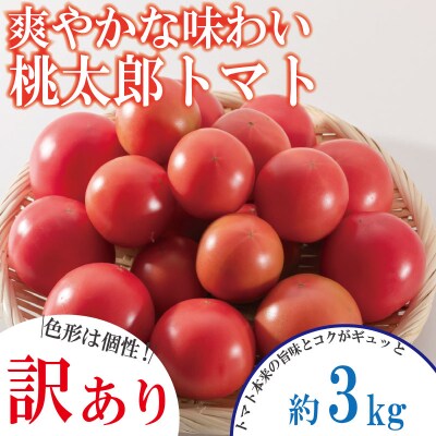 【2027年3月発送】【訳あり】 トマト 3kg 桃太郎 先行予約