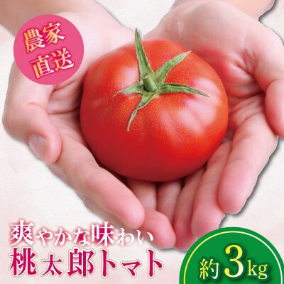 【2026年4月発送】 トマト 3kg 桃太郎 先行予約  甘い 野菜 やさい 国産 産地直送