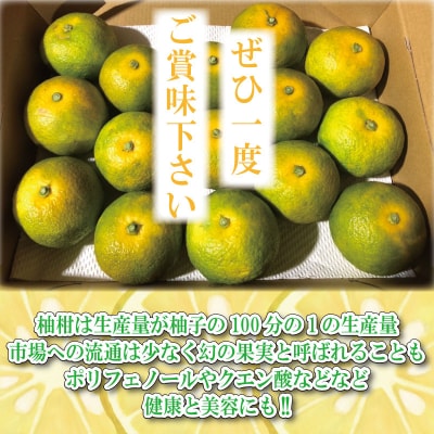 【2025年10月中旬順次発送】 ゆこう 1kg 柑橘 柚柑 ゆず すだち みかん 柚子 ダイダイ