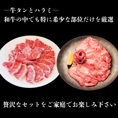 国産 牛タン ハラミ セット 計500g 牛肉 タン 薄切り ハラミ  希少部位 焼き肉 BBQ 焼