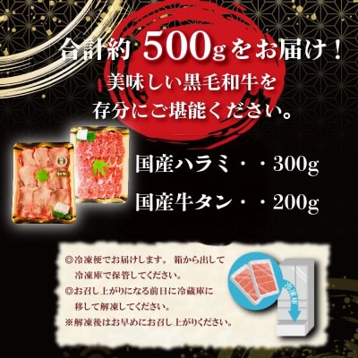 国産 牛タン ハラミ セット 計500g 牛肉 タン 薄切り ハラミ  希少部位 焼き肉 BBQ 焼