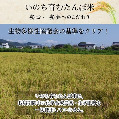 【令和7年産新米】米 コシヒカリ 5kg 天皇献上米 (栽培期間中)化学肥料・農薬不使用米 白米