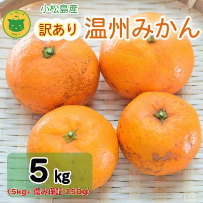 【2025年11月順次発送】 訳あり みかん 温州みかん5kg(5kg+傷み保証250g)