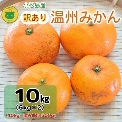 【2025年11月順次発送】 訳あり みかん 温州みかん10kg(10kg+傷み保証500g)
