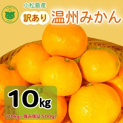 【2026年10月20日~発送】訳あり みかん 温州みかん10kg(10kg+傷み保証500g)