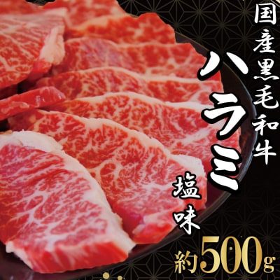 ハラミ 国産 冷凍 黒毛和牛 500g 特選 黒毛和牛 牛肉 焼肉 希少部位
