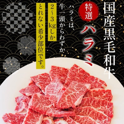 ハラミ 国産 冷凍 黒毛和牛 500g 特選 黒毛和牛 牛肉 焼肉 希少部位