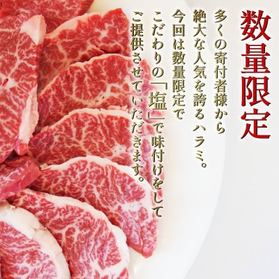 ハラミ 国産 冷凍 黒毛和牛 500g 特選 黒毛和牛 牛肉 焼肉 希少部位