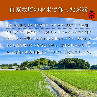 米粉 1kg(500g×2) 国産 溝木さんの米粉 小松島 グルテンフリー 米 パン お菓子 料理 